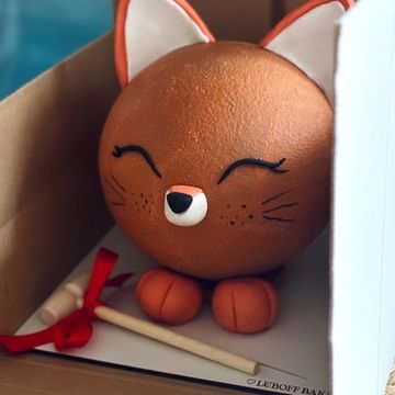 Шоу-торт бомба лисенок с сюрпризом внутри