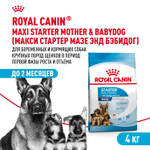 Royal Canin Maxi Starter Корм для щенков крупных пород до 2-х месяцев беременных и кормящих собак 4 кг