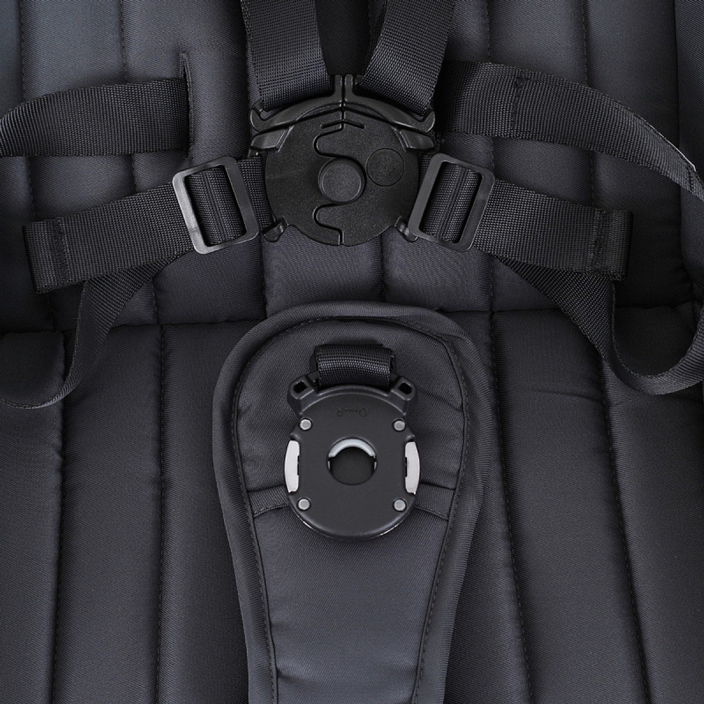 Детская коляска Rant Teo Black Chrome 2 в 1 Graphite