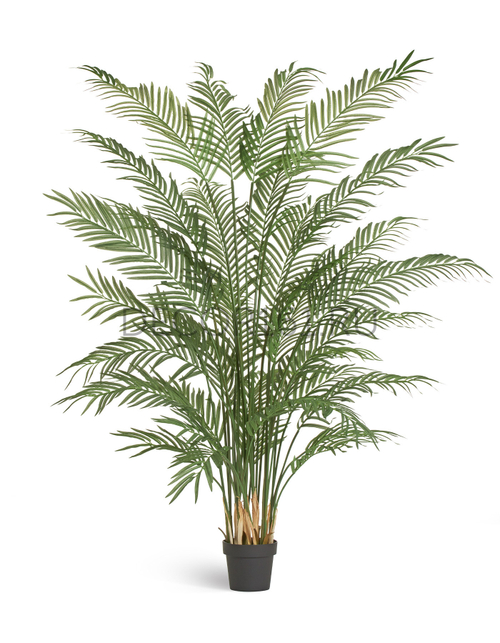 Пальма Бамбуковая 215 см (26 веток, 6 стволов) 1/1 10.011385N