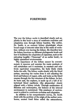 From fish to philosopher | H.W. Smith