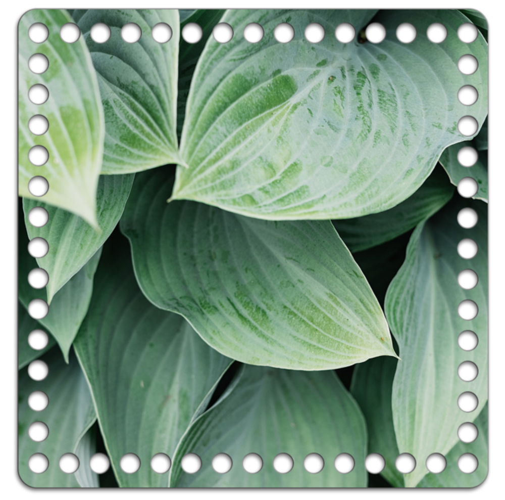 Донышко Принт 20*20см