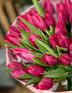 Букет из 39 ярко-розовых тюльпанов
