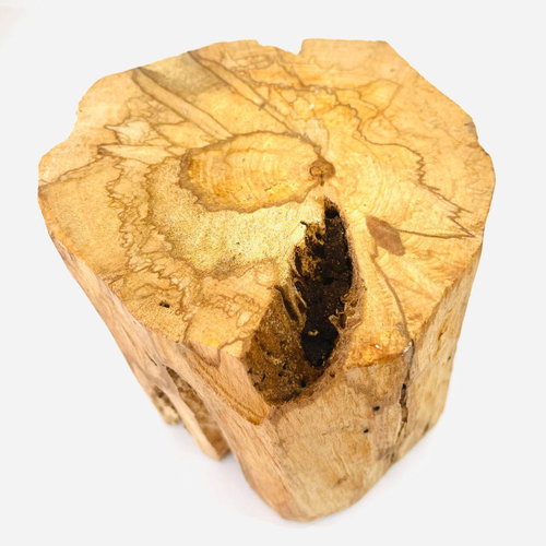 Насыщенный пенек дерева пало санто №21 (737 гр)