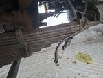 Shacman (Shaanxi) SX* 8x4 Самосвал SX331863366 (Дизельный, 12,5 л, 544 л.с., МТ)