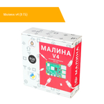 Малина v4 (8 ГБ)