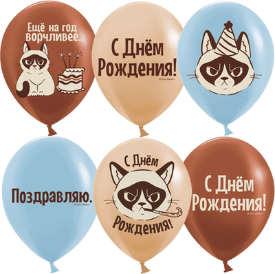 Воздушные шары Днем Рождения! (сердитая кошка), Ассорти, пастель 30см уже с гелием