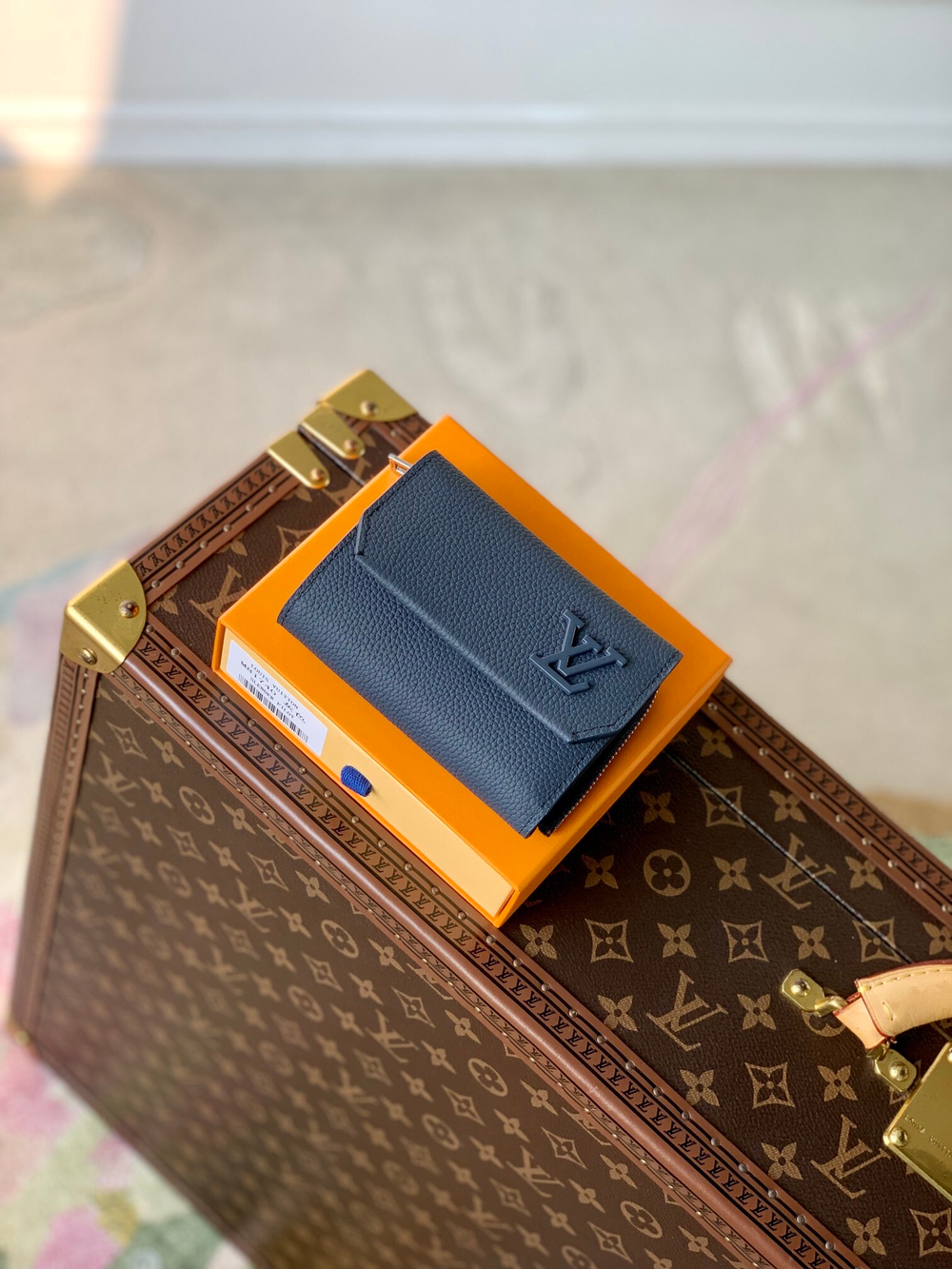Louis Vuitton Aerogram Pilot Wallet