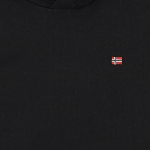 Толстовка мужская Napapijri Balis Hoodie артикул:NA4FQV041 - купить в магазине Дайс