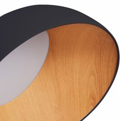 Накладной светильник Zortes Baum ZRS.01243.05