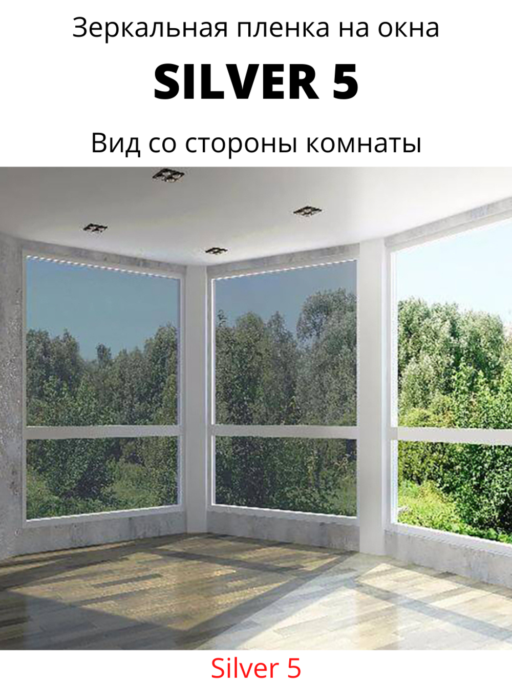 silver 5 90х150