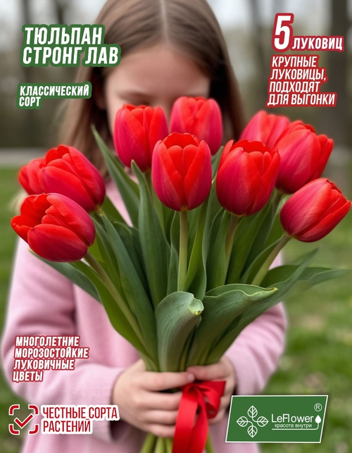 Тюльпан Луковица, Стронг Лав 5 шт