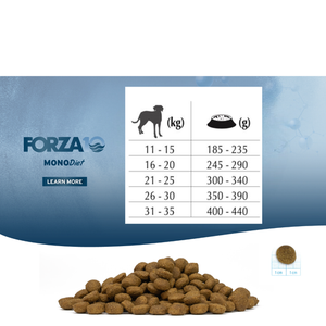 Сухой корм гипоаллергенный монопротеиновый Forza 10 Medium Diet Agnello для собак средних пород с ягненком