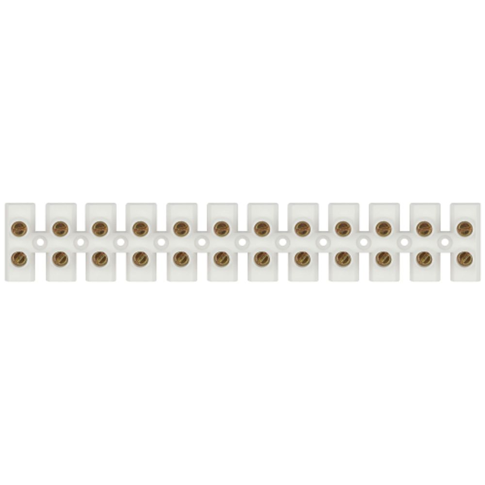 Зажим винтовой ЭРА NO-225-508 изолированный ЗВИ-нг 100А (6.0-40 мм2) 12 пар белый | Зажим винтовой ЗВИ