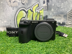 Sony A6600 (4.200 кадров)