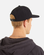 Кепка Anteater Snap-Black