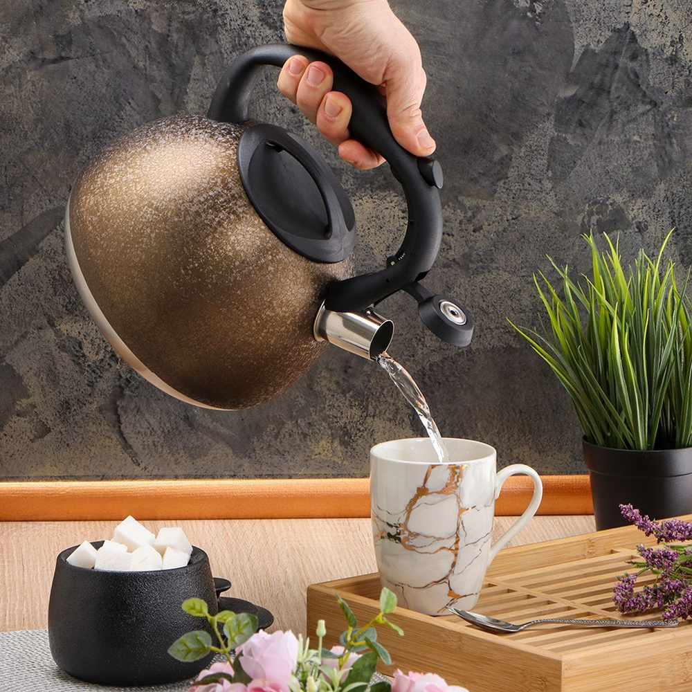 Чайник нерж, 2.7 л, свист, ручк бакелит, с силик покр, Daniks, индукц, золото, M-084