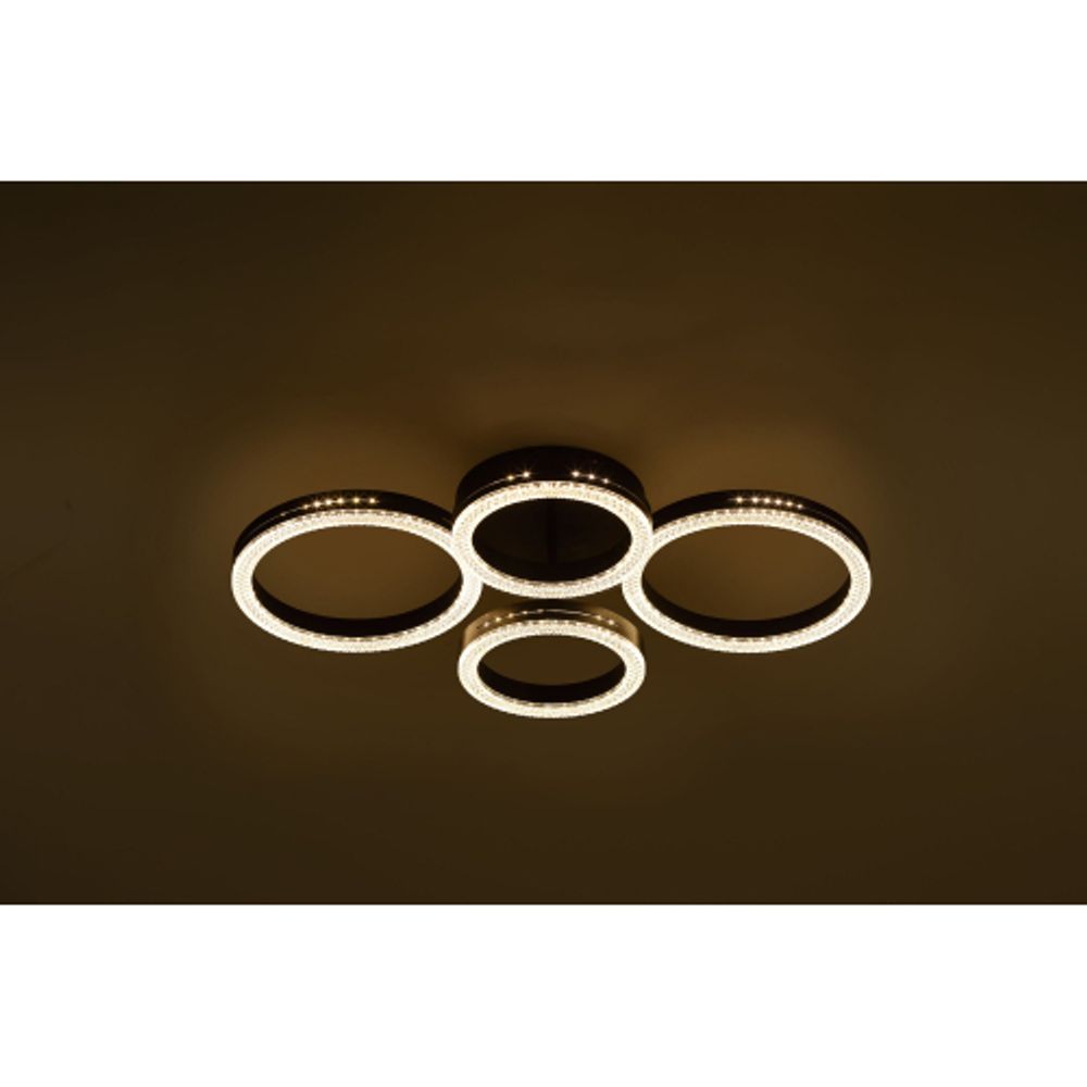 Светильник потолочный светодиодный Rivoli Flora 6191-201 LED 75Вт 3000-6000К чёрный с пультом | Rivoli