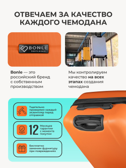 Набор Xs/S ручная кладь Папайя