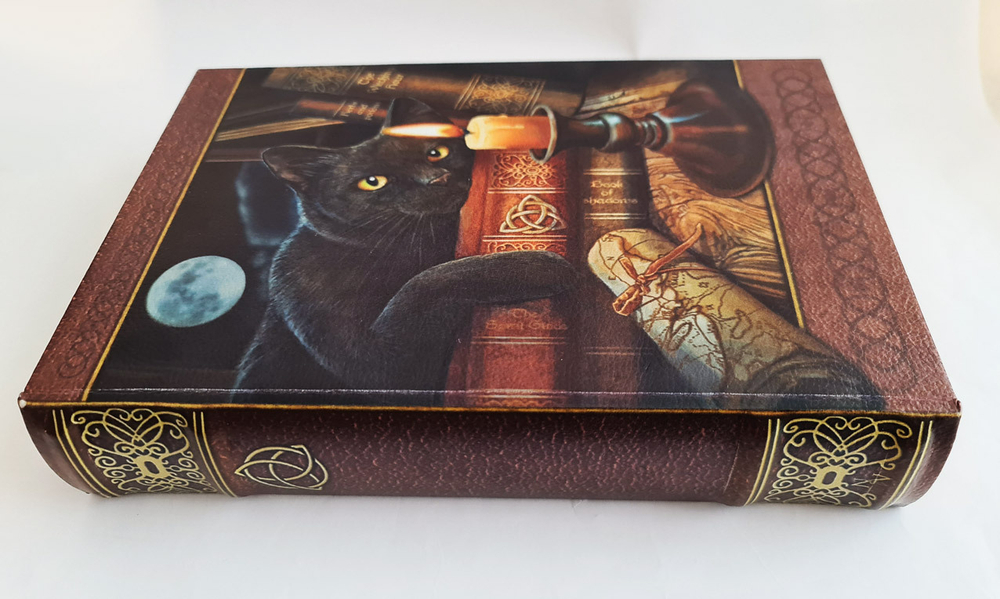 Футляр-книга с изображением кота-библиофила с магнитным замком