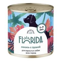 Florida (Россия)