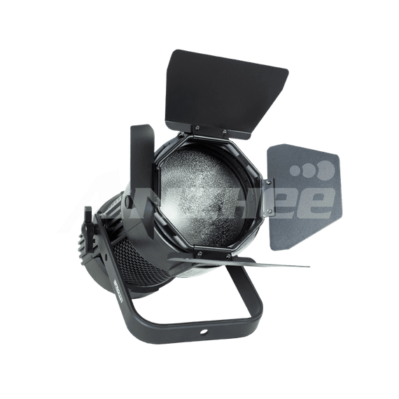 PROCBET Fresnel 300 ZOOM F, CW