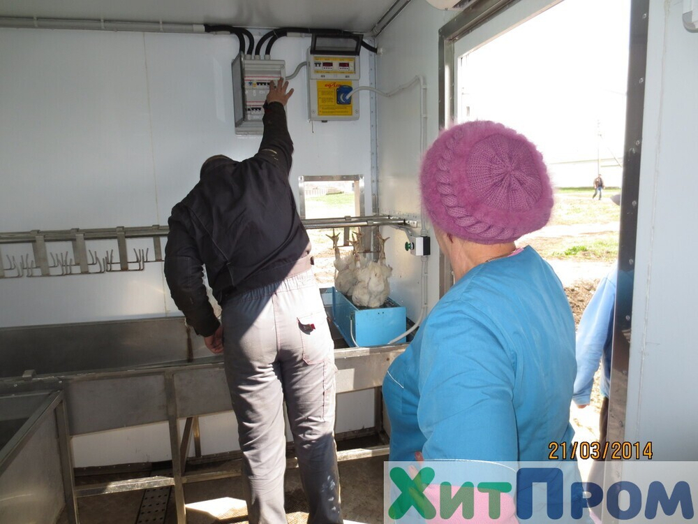 Линия убоя бройлера и несушки до 120 голов/час с вакуумным потрошением. Краснодарский край