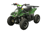 Квадроцикл AVANTIS ATV Classic 6 110cc