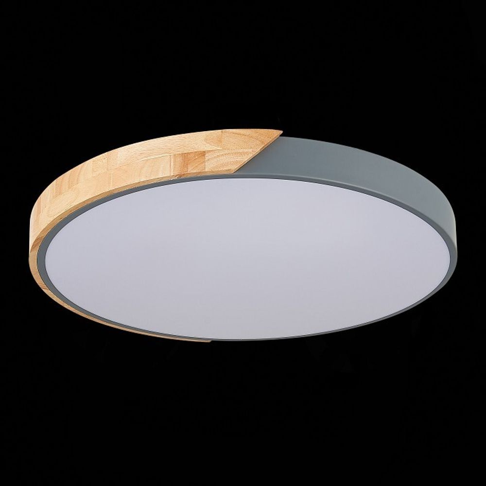 Накладной светильник EVOLUCE Festa SLE200972-01