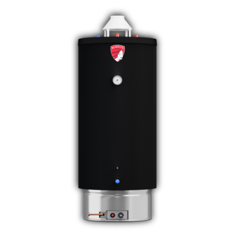 Водонагреватель газовый Federica Bugatti Inox WH120