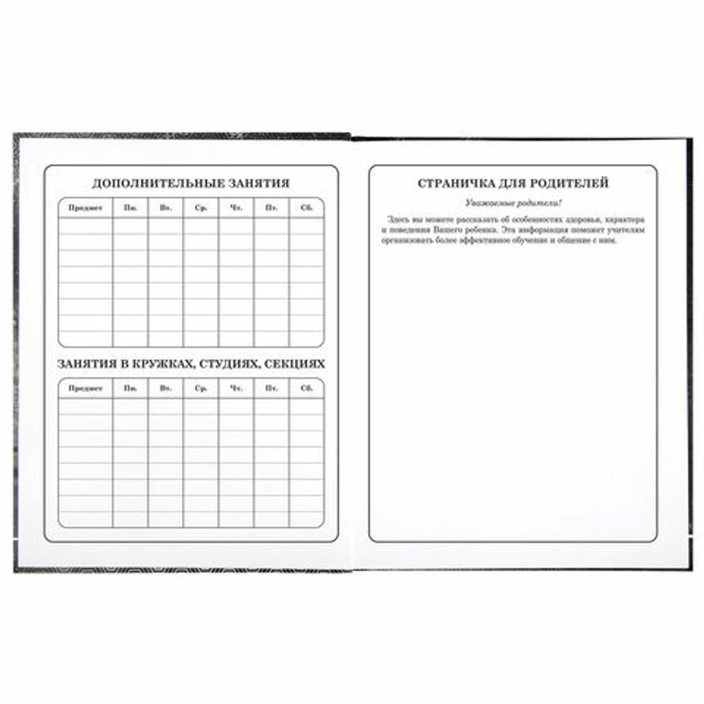 Дневник 1-4 класс 48 л., твердый, BRAUBERG, выборочный лак, с подсказом, "Крутой байк", 106362