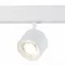 ST353.546.06 Магнитный трековый светильник белый LED 1*6W 4000K 560Lm Ra>80 36° IP20 L120xW81xH138 4 СКАЙЛАЙН 48V