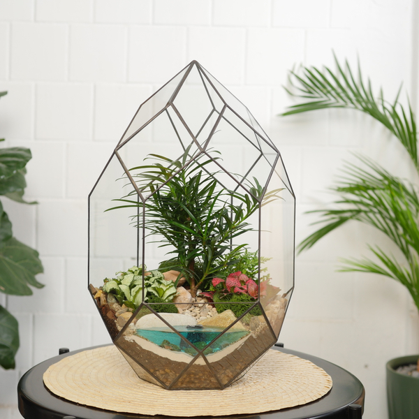 Готовый флорариум бонсай Подокарпус Цефей с озером