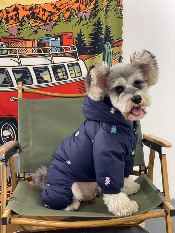 Комбинезон для собак унисекс Медведь