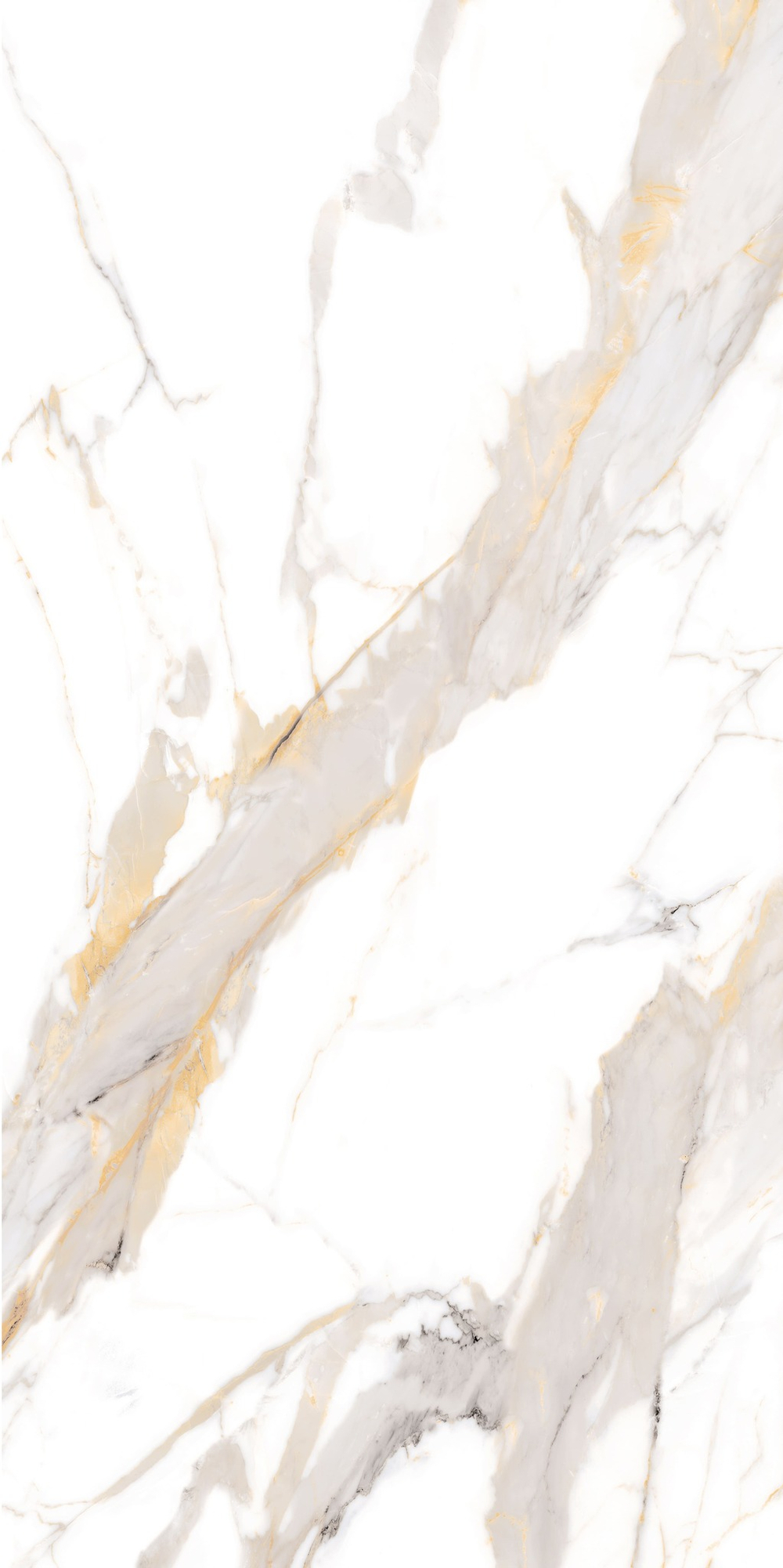 NT Ceramic Bright And Shiny NTT9120 Calacatta Light Grey mat 60x120