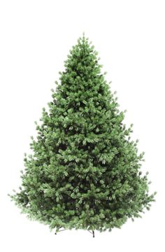 Искусственная ёлка Баронесса 210 см