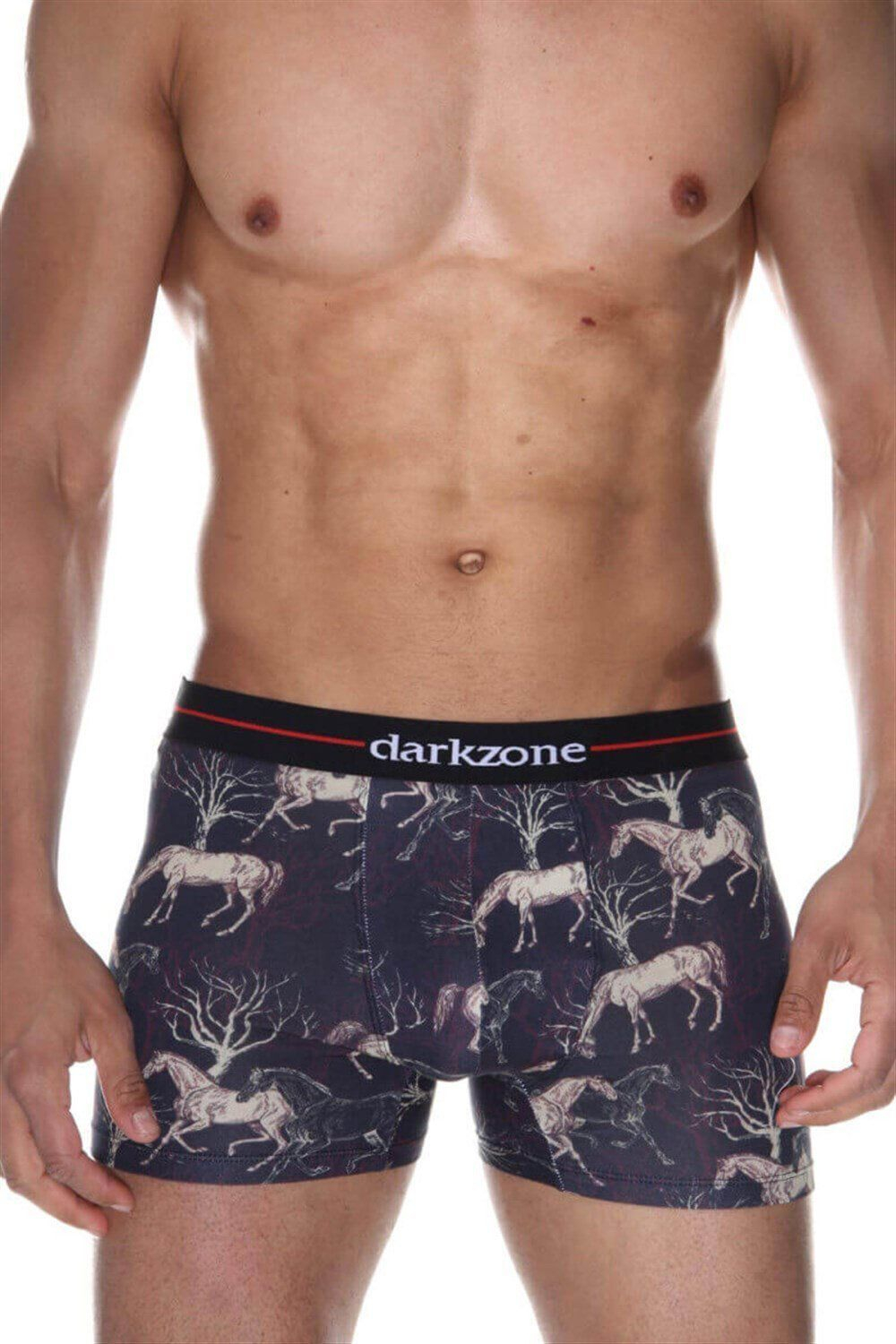 Мужские трусы-боксеры с принтом в виде лошадей (Размер: S) (Цвет: темно-серый)