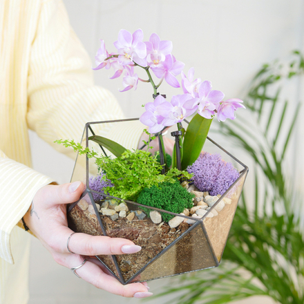 Готовый флорариум с сиреневой орхидеей Икос S