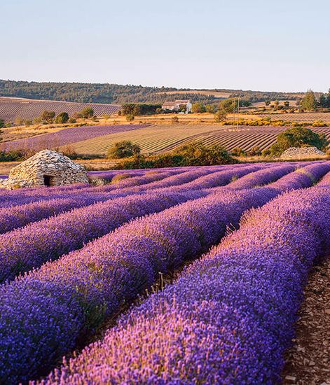 Blue champetre, диффузор Origami collection, Ladenac Milano