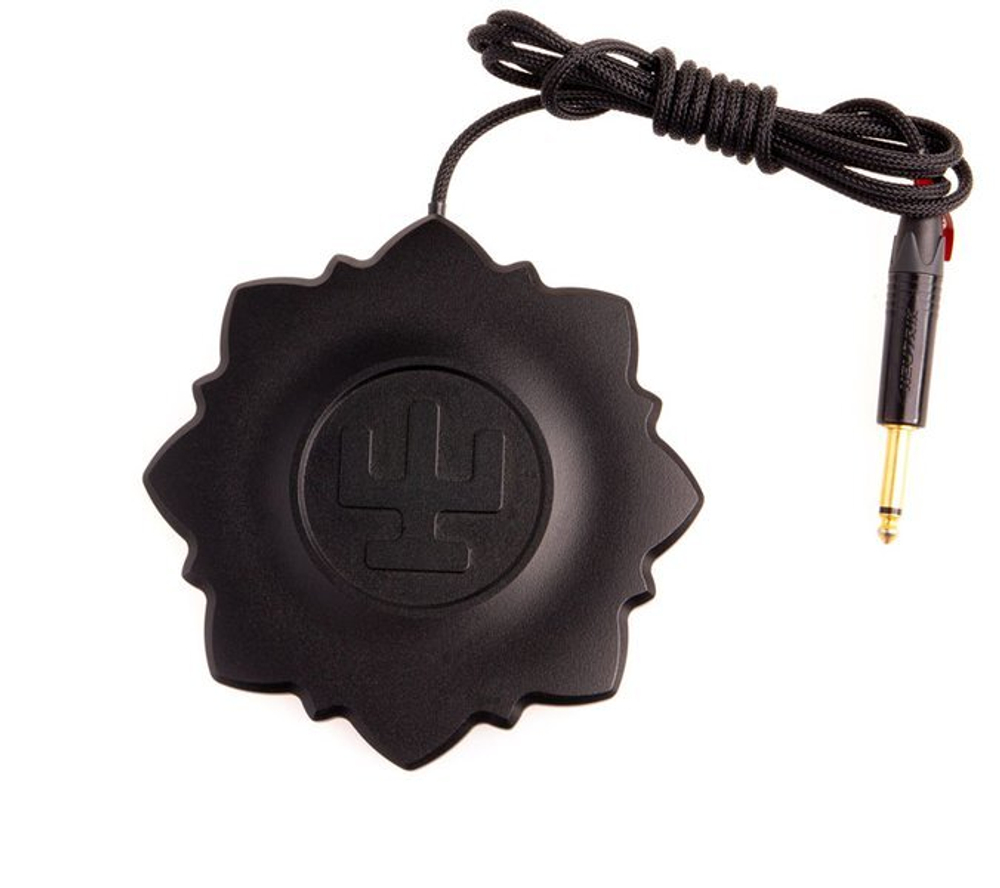 Большая педаль Borneo Footswitch