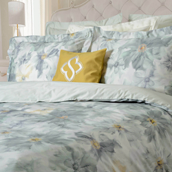 Постельное белье 2 спальное евро Sharmes Zefir