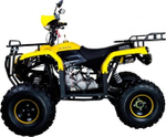 Квадроцикл AVANTIS Patriot M