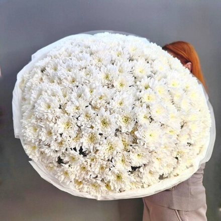 Букет из 31 кустовой хризантемы "Baltica white"