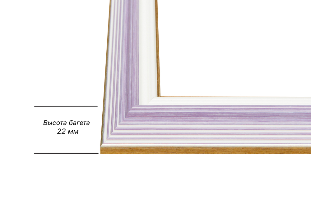 Рама 30x70 для картин и фотографий RP0420858-56