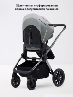 Коляска 2 в 1 Rant Falcon Therm