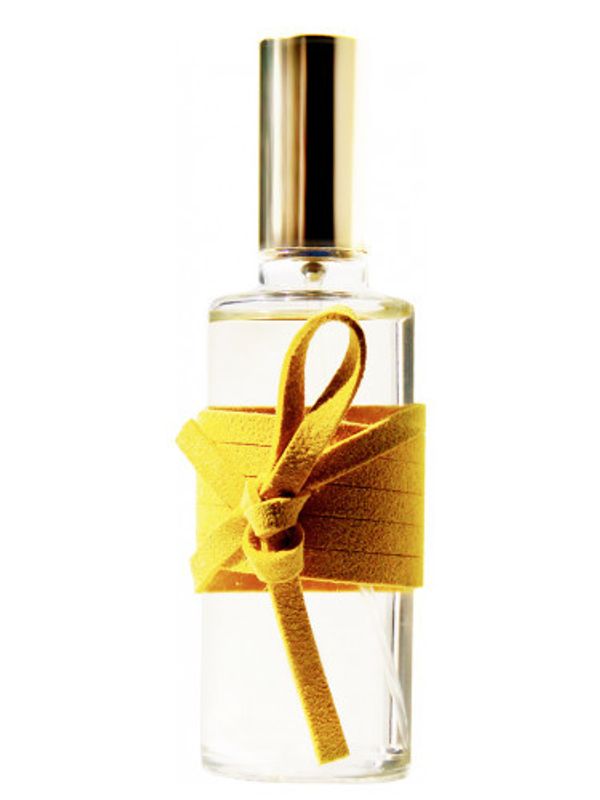 ICONOfly Attache-Moi 55