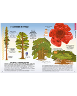 Большая энциклопедия CLEVER. Земля от атома до галактики. Масштабы мира в цифрах