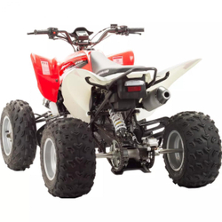 Квадроцикл Motoland 250S
