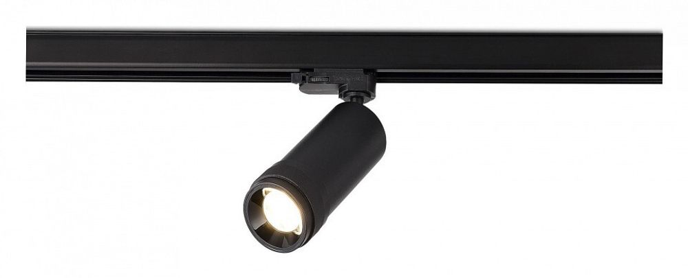 Светильник на штанге ST-Luce  ST691.436.20