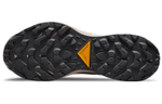 Кроссовки Nike Pegasus Trail 3